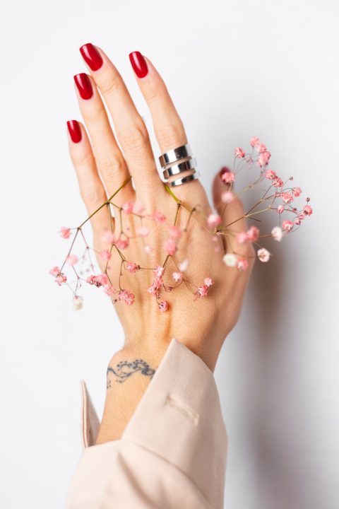 Soft gentle photo of woman hand with big ring red manicure hold cute little pink dried flowers isolated on white background, spring mood.